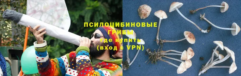 Псилоцибиновые грибы MAGIC MUSHROOMS  Арск 